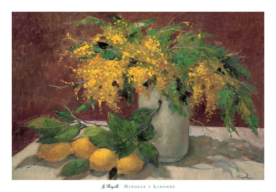 Mimosas y Limones by artist  J. Ripoll