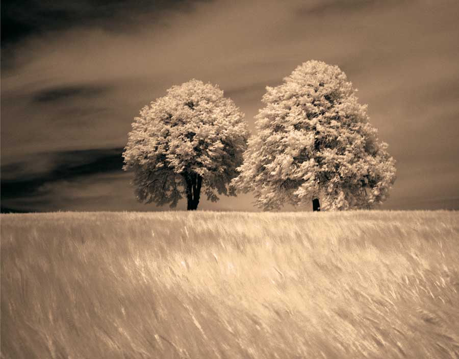 Together &amp; Alone I by artist  Ily  Szilagyi