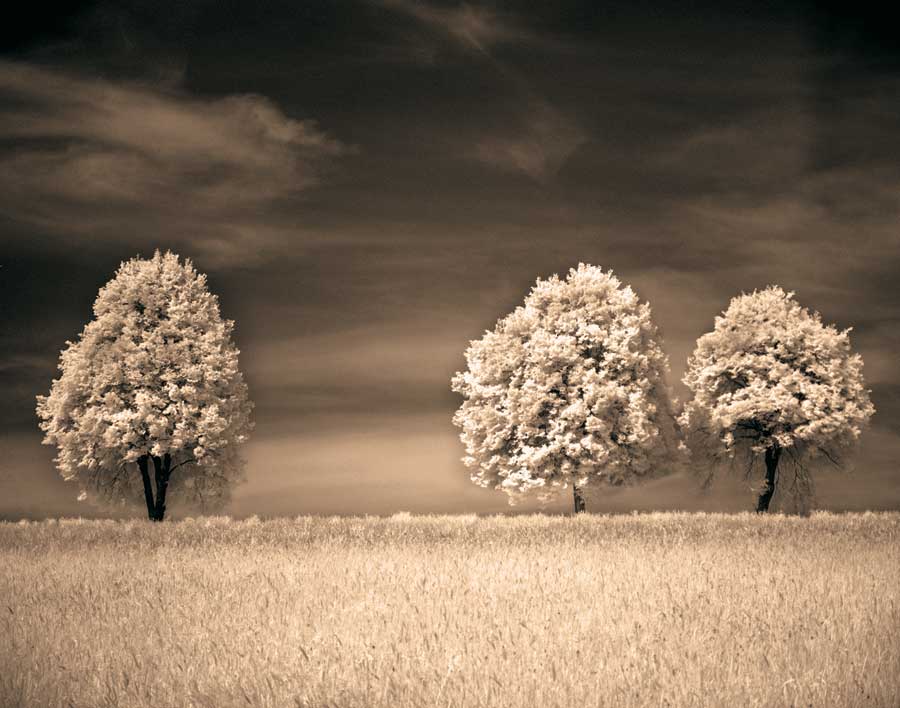 Together &amp; Alone II by artist  Ily  Szilagyi