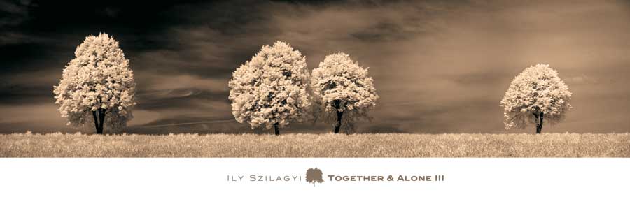 Together &amp; Alone III by artist  Ily  Szilagyi