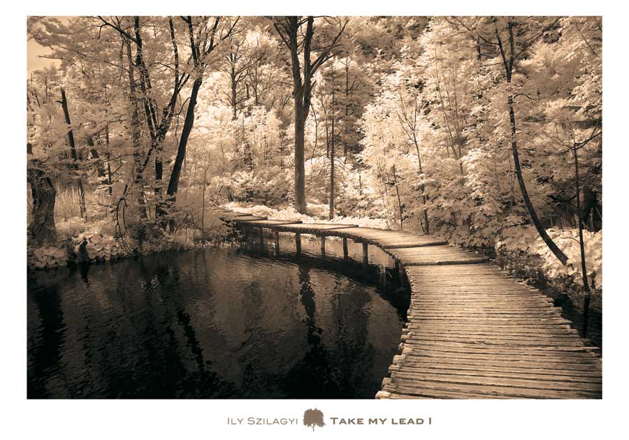 Take my Lead I by artist  Ily  Szilagyi