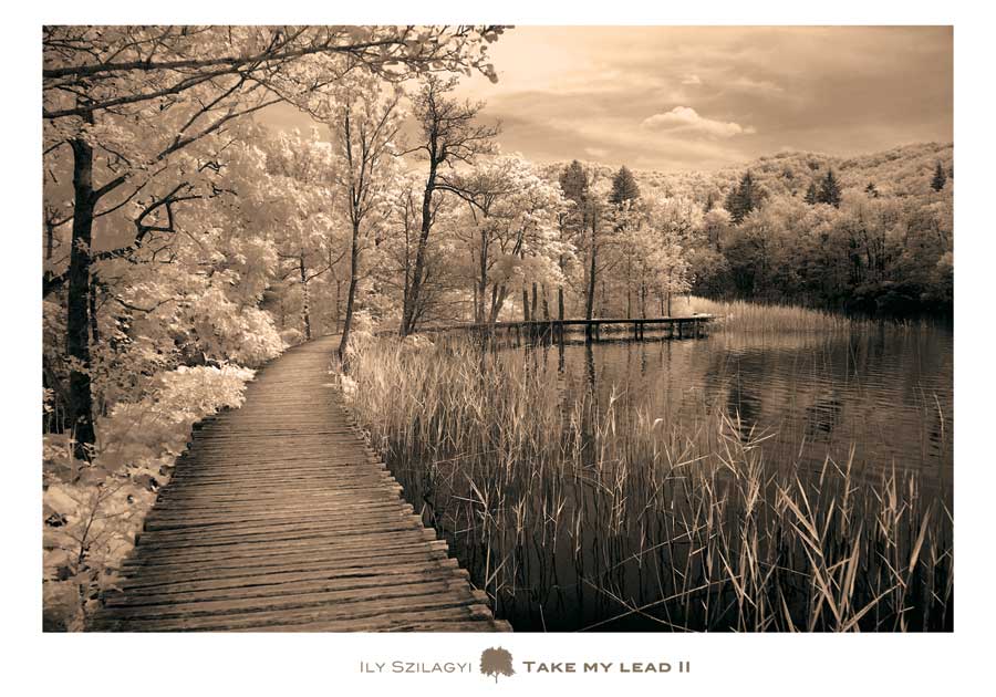 Take my Lead II by artist  Ily  Szilagyi