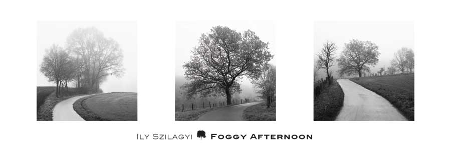 Foggy Afternoon by artist  Ily Szilagyi