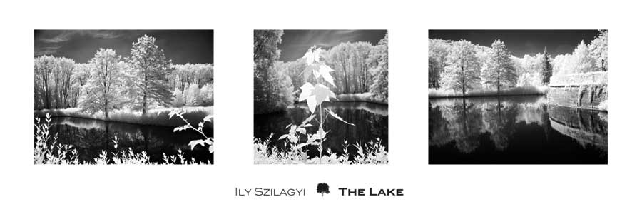 The Lake by artist  Ily Szilagyi