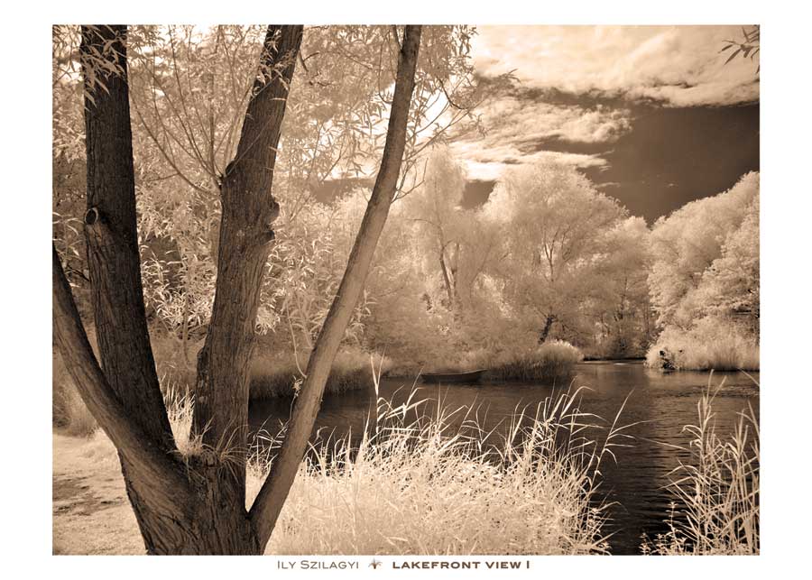 Lakefront View I by artist Ily Szilagyi