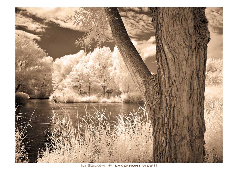 Lakefront View II by artist Ily Szilagyi