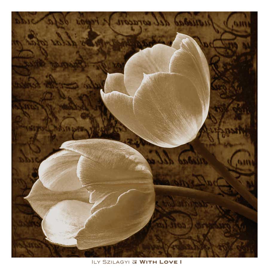 With Love I by artist Ily Szilagyi