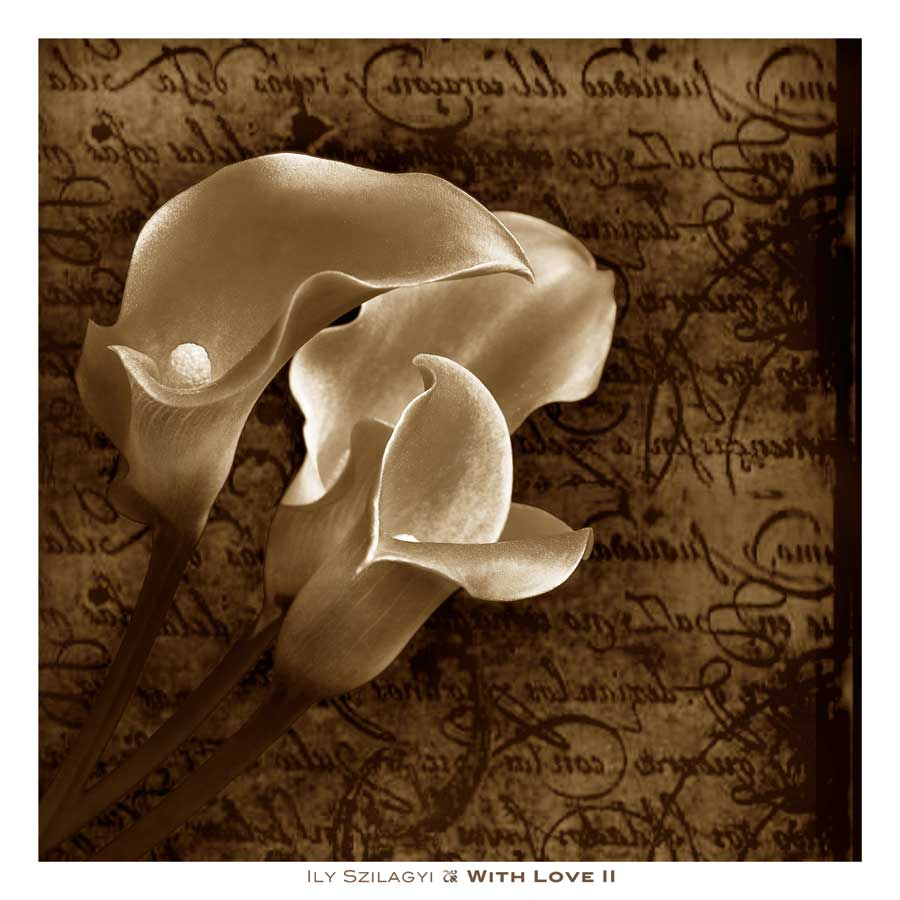 With Love II by artist Ily Szilagyi