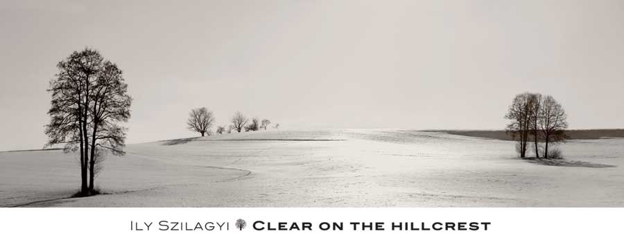 Clear on the Hillcrest by artist Ily Szilagyi