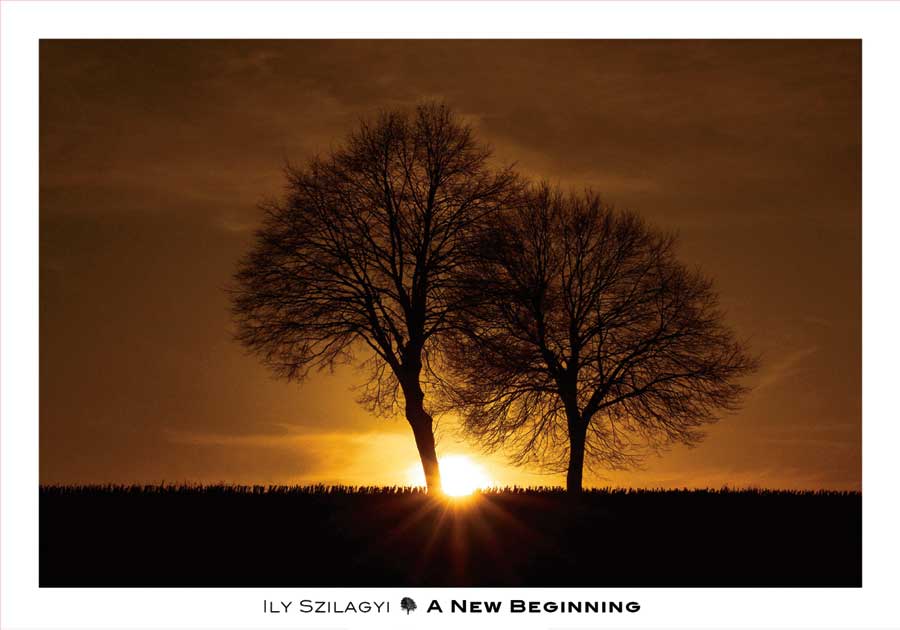 A New Beginning by artist Ily Szilagyi