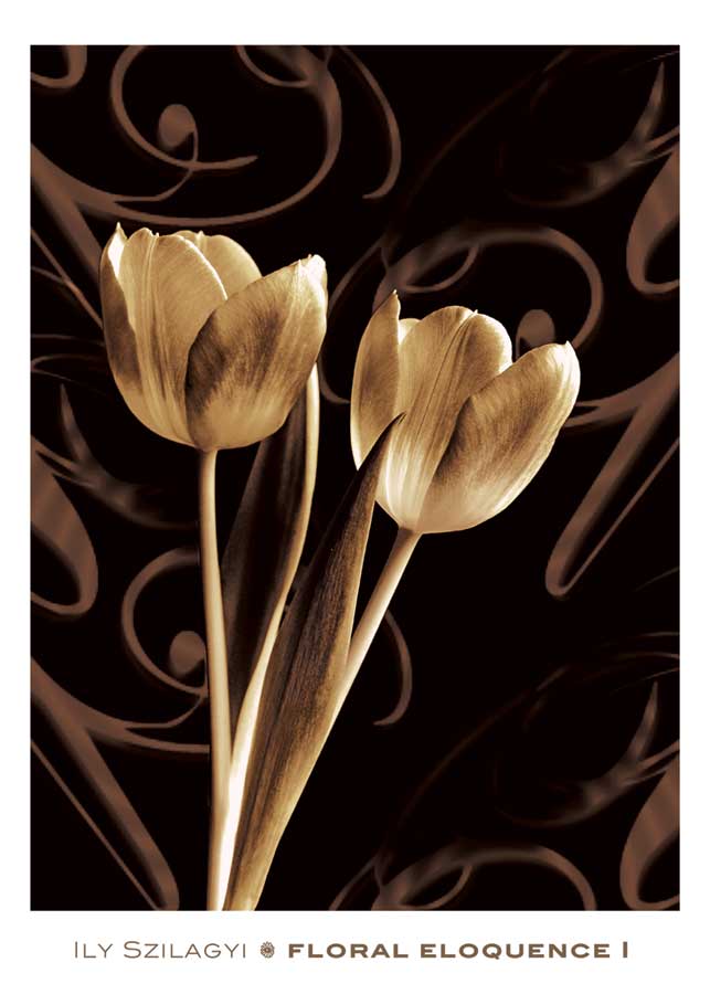 Floral Eloquence I by artist Ily Szilagyi