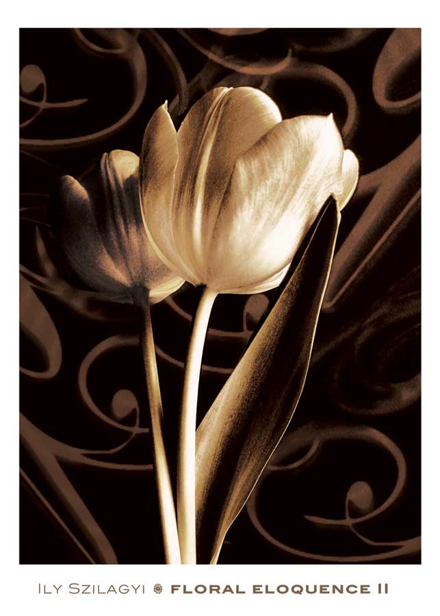 Floral Eloquence II by artist Ily Szilagyi