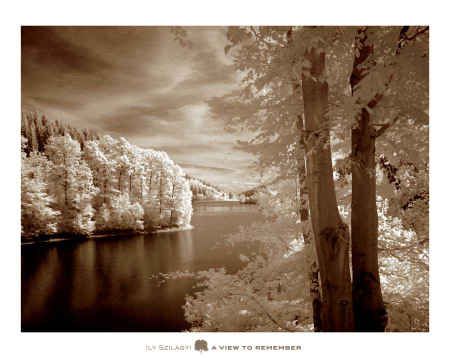 A View to Remember by artist Ily Szilagyi