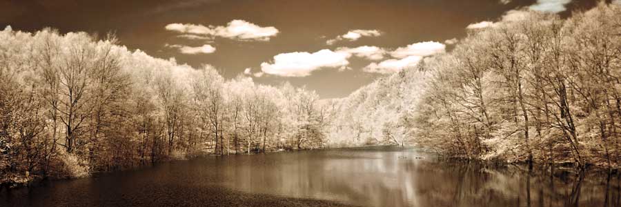 A Tranquil Journey by artist Ily Szilagyi