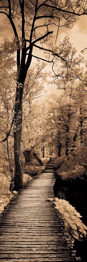 A Quiet Stroll I by artist Ily Szilagyi