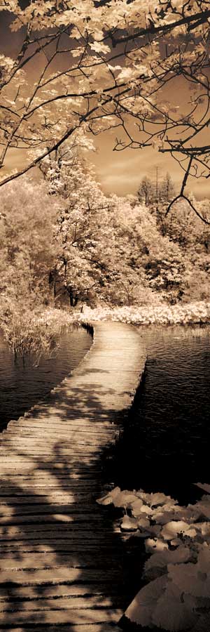 A Quiet Stroll II by artist Ily Szilagyi