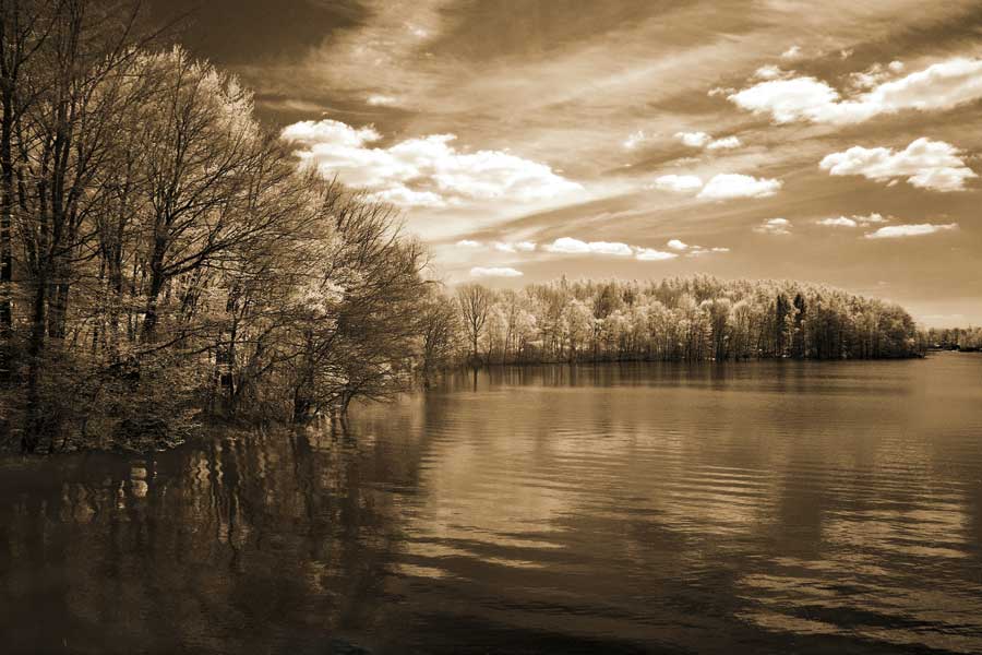 Nature' s Glory by artist Ily Szilagyi