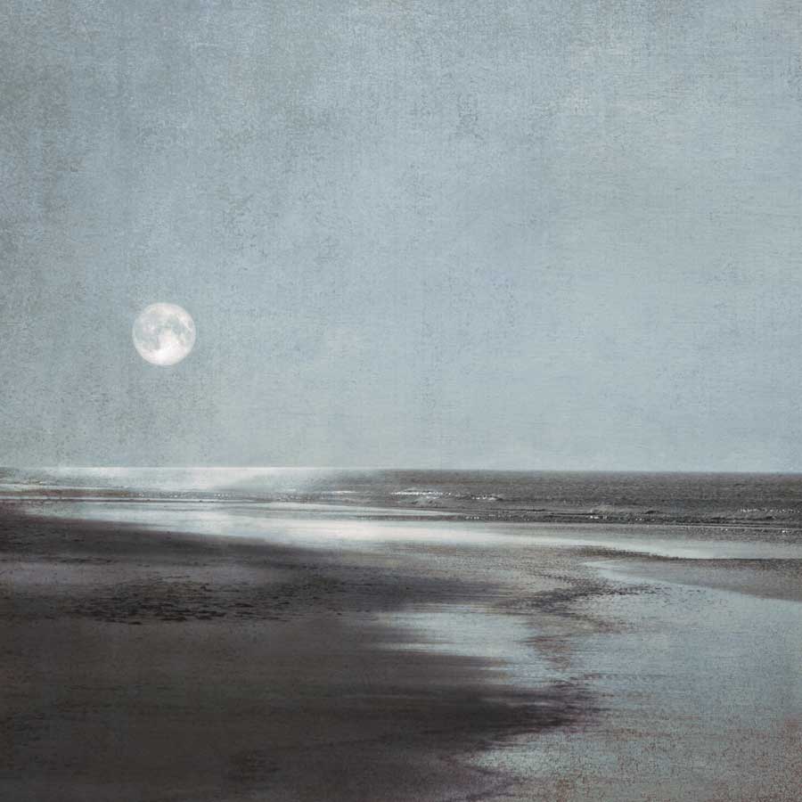 Moonlit Beach by artist Ily Szilagyi