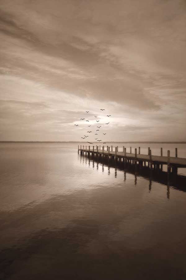 Come With Me by artist Ily Szilagyi