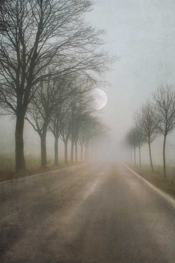 A Quiet Place by artist  Ily Szilyagi