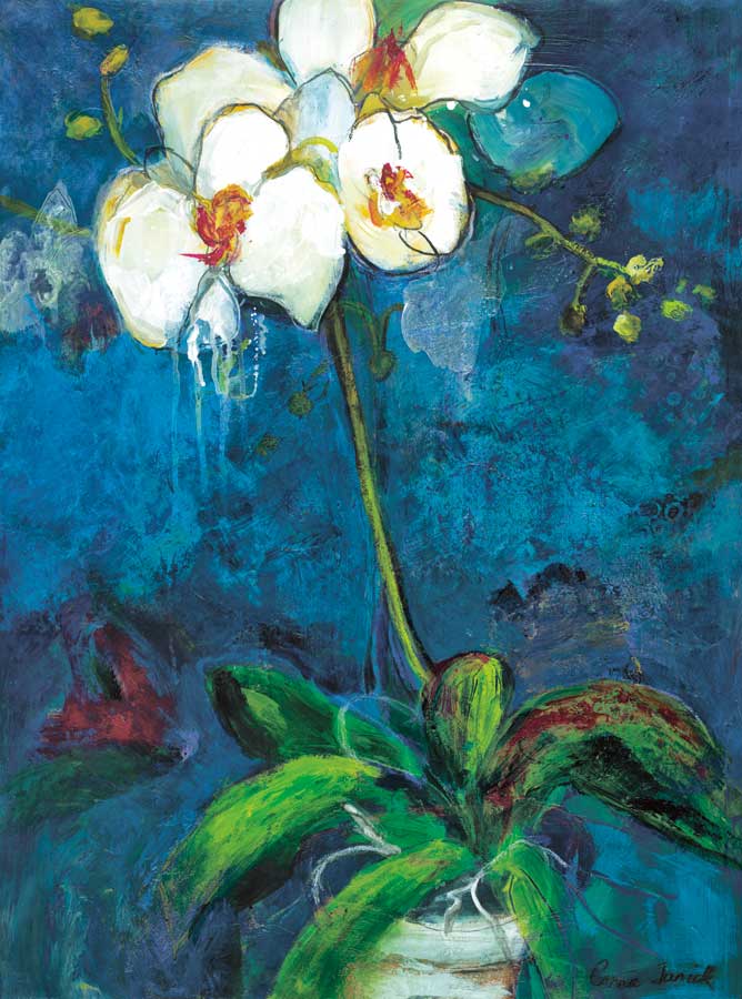 Phalaenopsis I by artist Connie Tunick