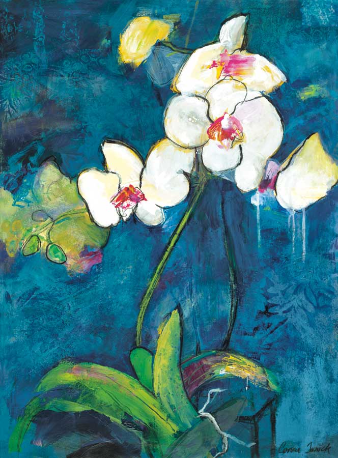 Phalaenopsis II by artist Connie Tunick