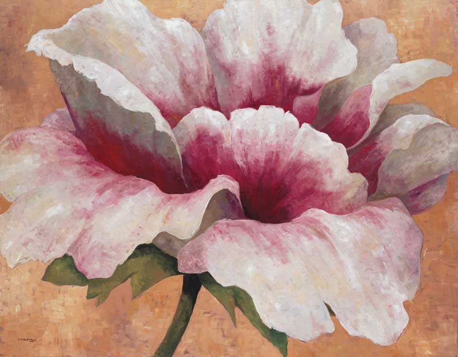 Pink Begonia by artist  Maria Torróntegui