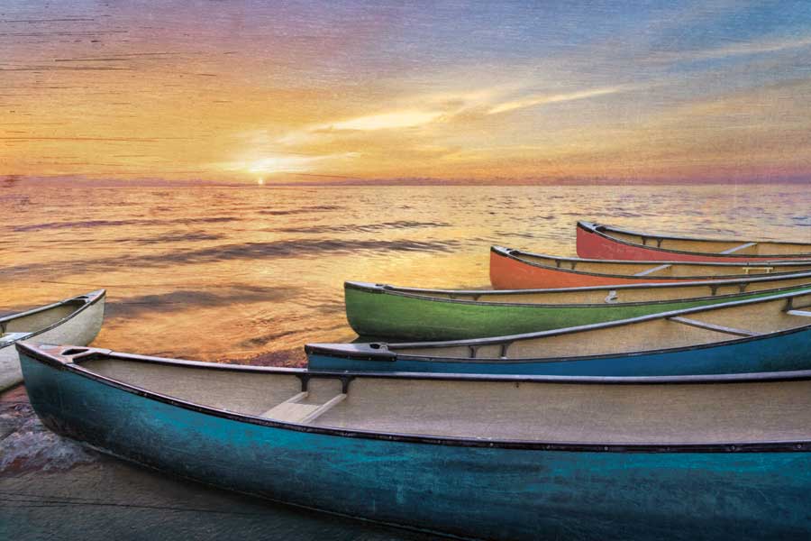 Rainbow Armada by artist  Celebrate Life Gallery