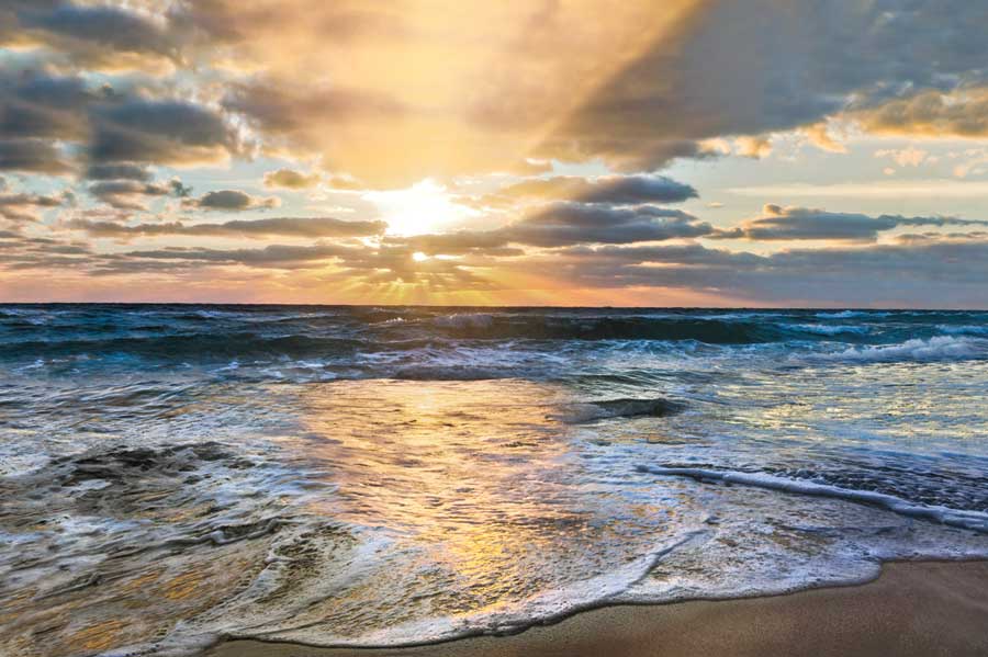 Whipped Cream by artist  Celebrate Life Gallery