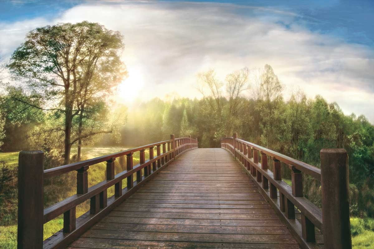 Dreams by artist  Celebrate Life Gallery