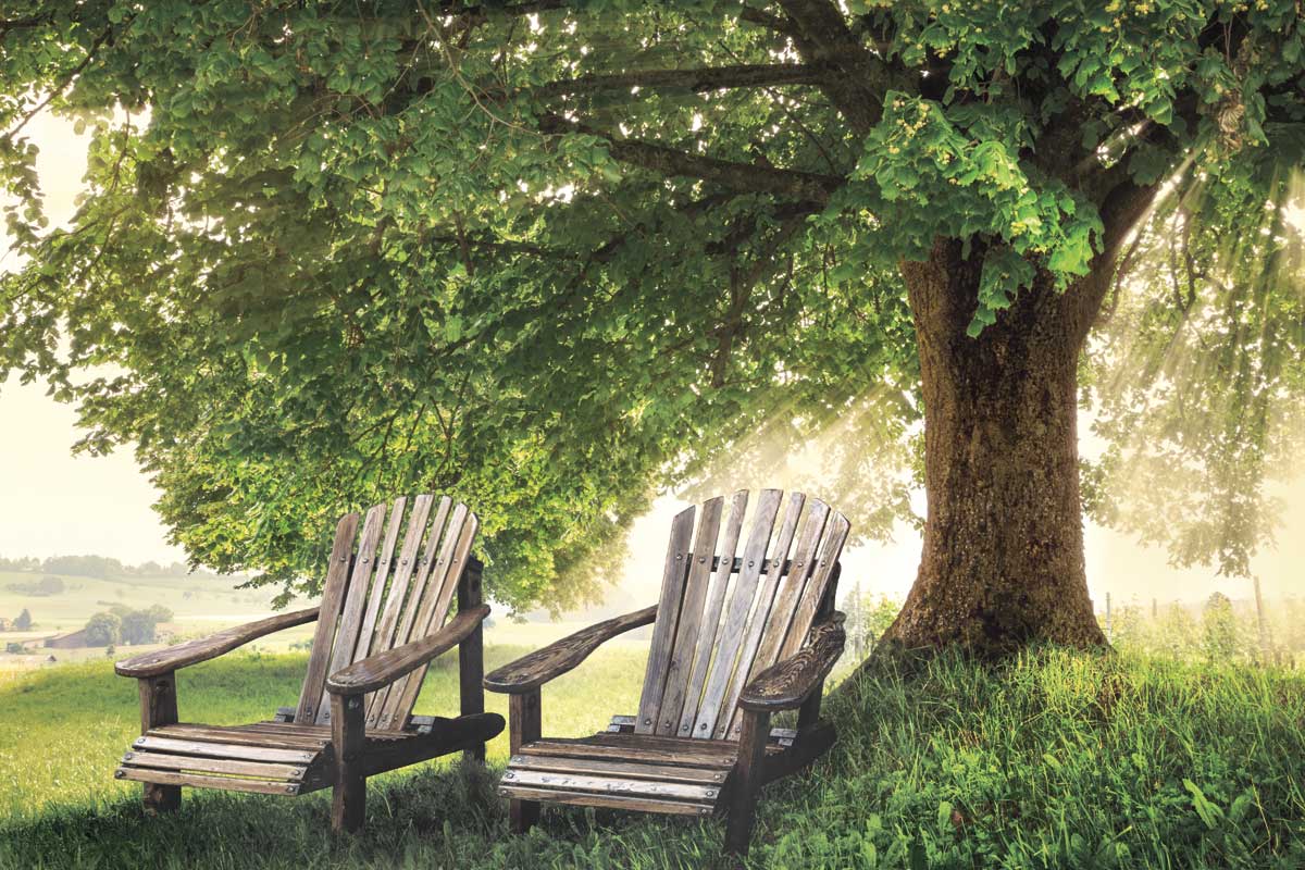 Made In The Shade by artist  Celebrate Life Gallery