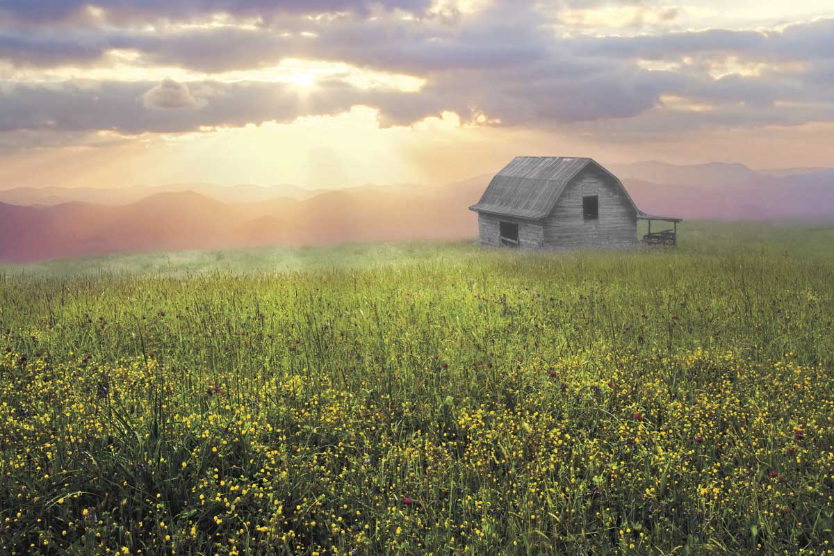 Morning Has Broken by artist  Celebrate Life Gallery