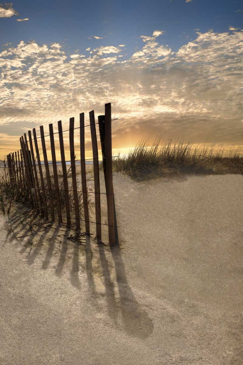 Dune Fence at Sunrise by artist  Celebrate Life Gallery