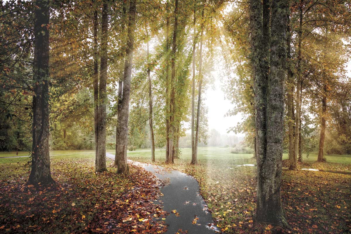 Following the Light by artist  Celebrate Life Gallery