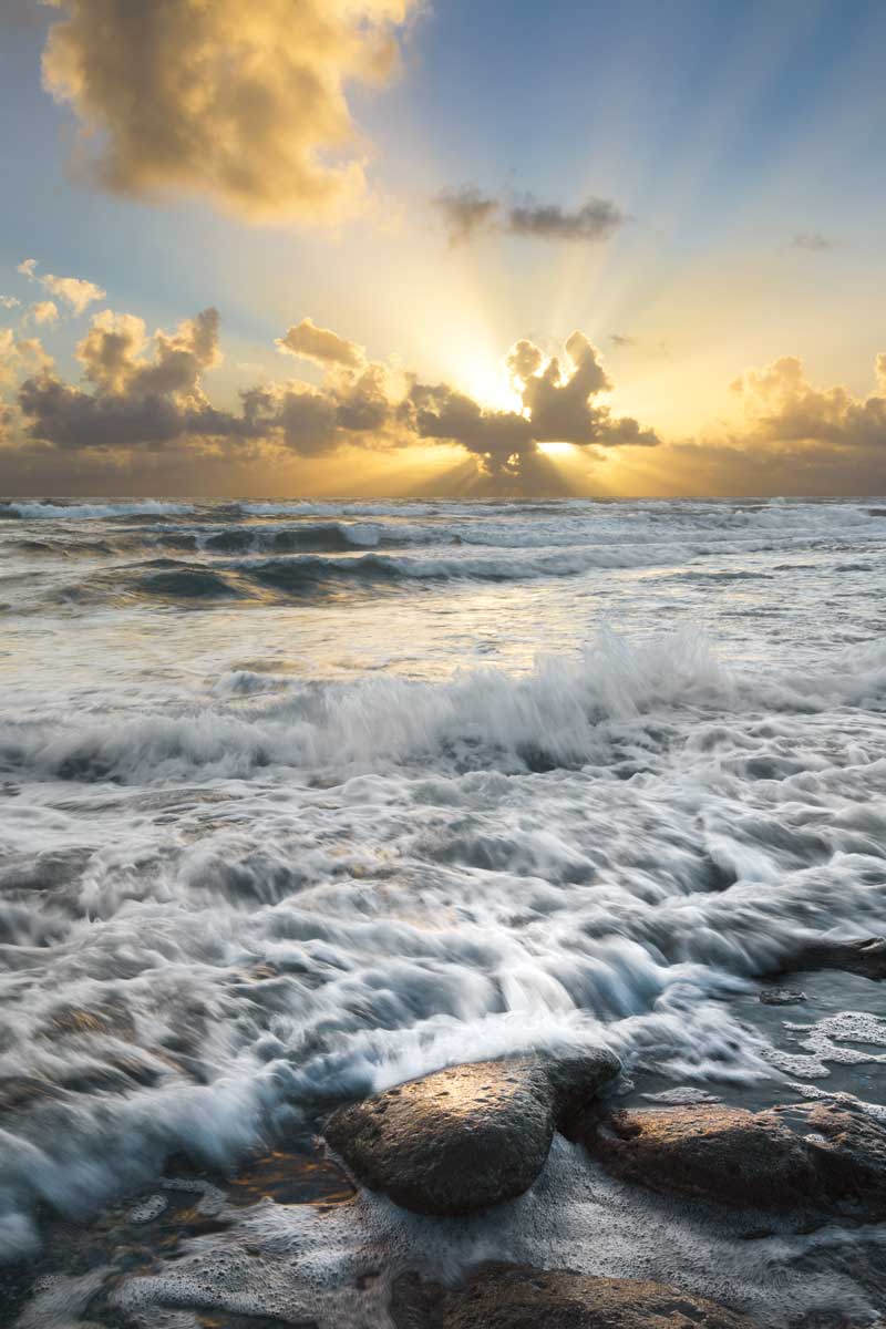 Crash by artist  Celebrate Life Gallery