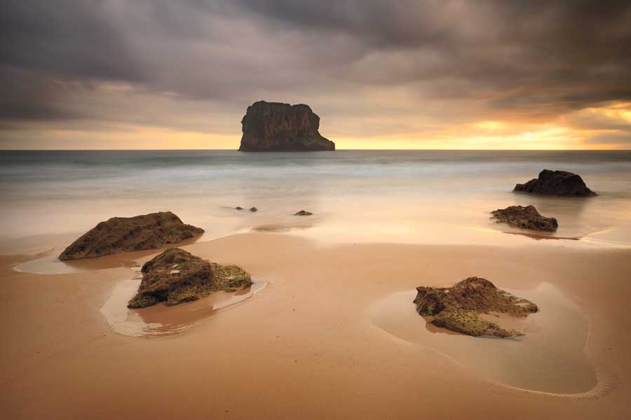 Ballota by artist Urtzi Vera